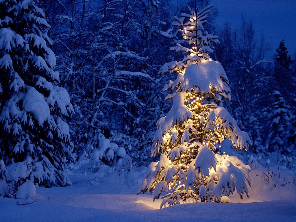 'Tis the Season